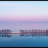 【游览武汉】《武汉：湿地之城》宣传片