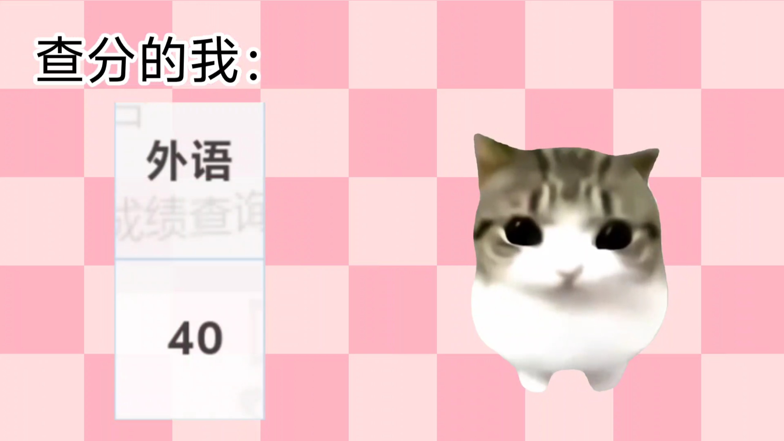 我中考查分时be like: