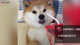 76be11b2f1ba1e514cc2e670cc6ddea30ab3103a.jpg@280w_158h_1c_100q.jpg
