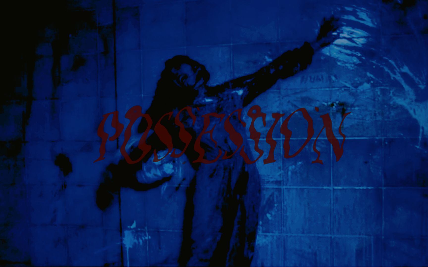 【练习】着魔 | possession (1981)