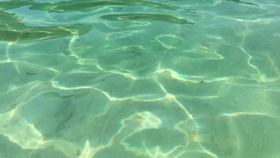 76c2432fea8586be1b0ddf40aea706a4e132b7fd.jpg@280w_158h_1c_100q.jpg