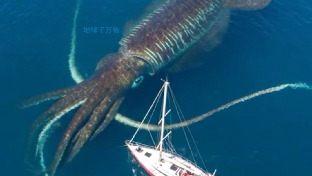 真实存在的可怕生物