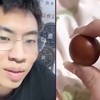 听 泉 鉴 枣