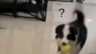 76f0d946d78946549facf178714f3ee3cc4fd25f.jpg@336w_190h_1c.jpg