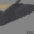 生物动画——鸟翼的展开与折叠