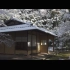 我们这么冷了，为啥还不下雪？看日本庭園，京都の雪