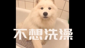 警官的英语怎么读 76fe1f6ef9b7a516810b8a9ac2abff45112b20aa.jpg@280w_158h_1c_100q.jpg