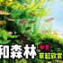 [中文]当故事和草缸结合起来才是最美的 祥和森林草缸欣赏 ADA