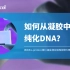 【短视频大赛】如何从凝胶中回收纯化DNA？