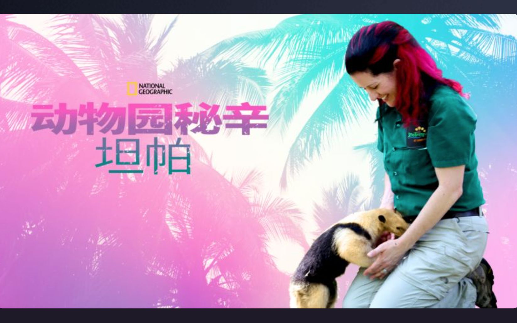 [国家地理频道] 动物园秘辛:坦帕湾 第二季 Secrets of the Zoo Tampa哔哩哔哩bilibili