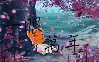 虹猫蓝兔阿木星 - 搜索结果 - 哔哩哔哩弹幕视频