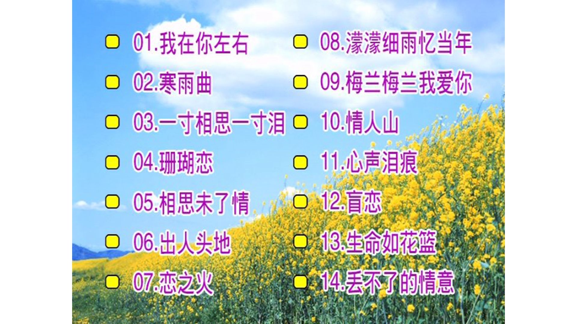 【青山】《怀旧精选B》（DVD）