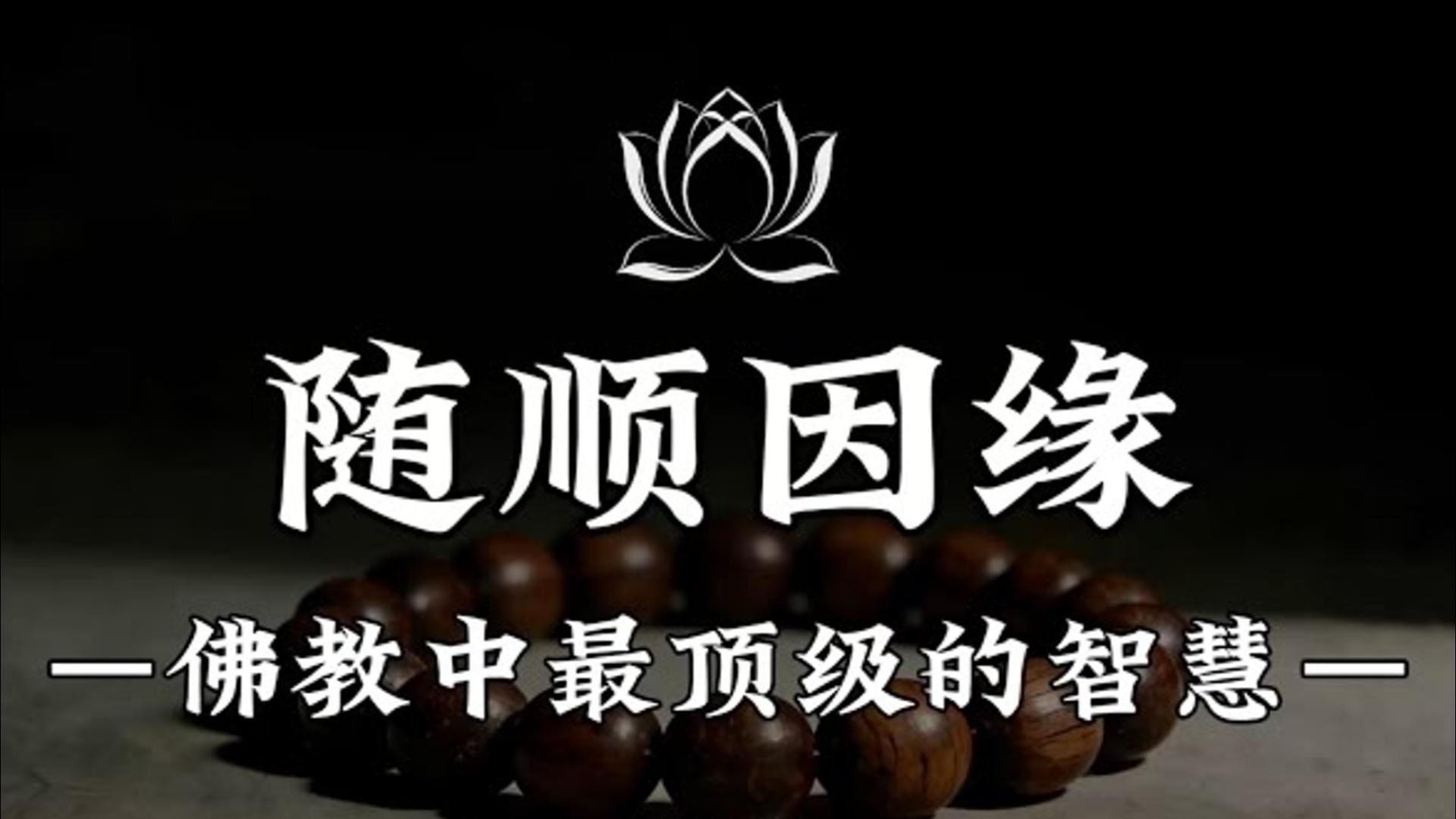 让人生越来越顺的佛学智慧，学会随顺因缘，不强求、不对抗