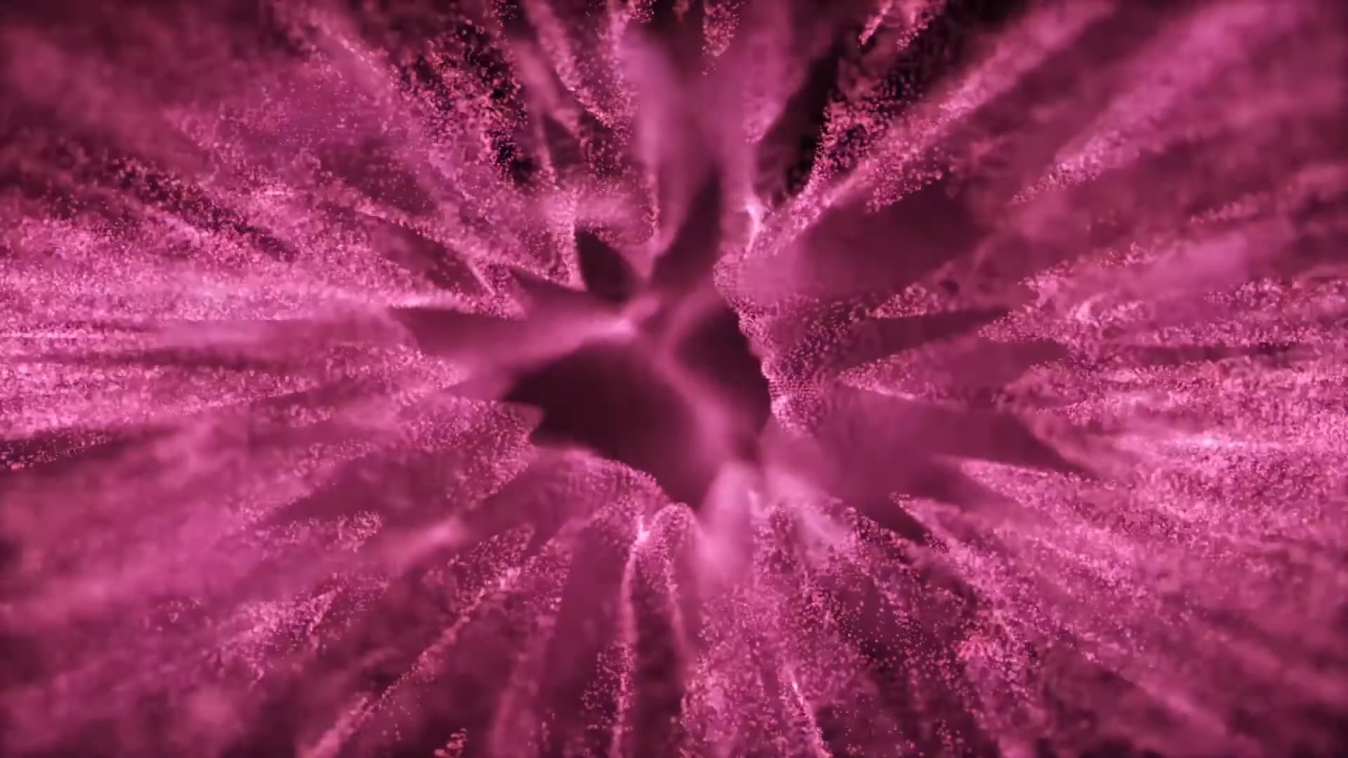 【舞台背景】86- 粉色粒子绽放动态循环视频背景❤️ 浪漫梦幻舞蹈晚会年会循环动画