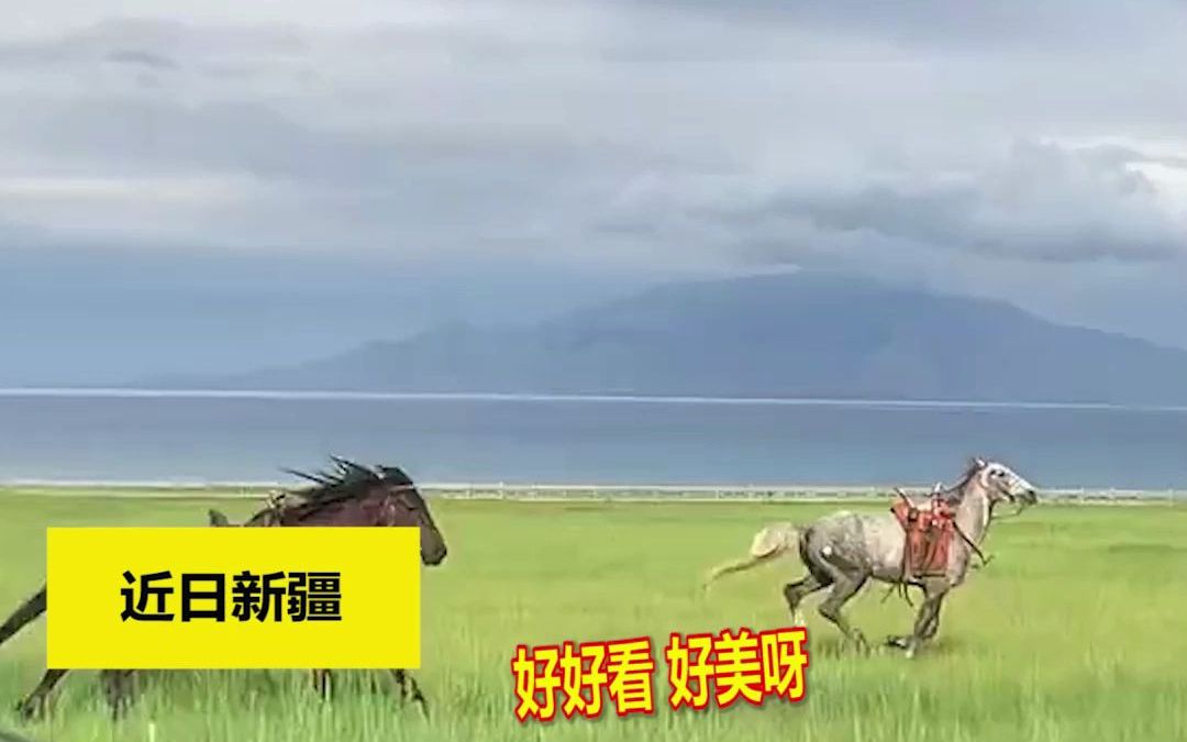 游客拍摄奔跑的骏马,两位汉服小姐姐骑马“闯”进镜头,网友：神仙下凡了吗