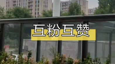 校霸课间体息时间欺凌隔壁班同学现在的学生真是世风日下霸凌女同学