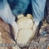 直击1956年定陵发掘现场：代价惨痛，教训深刻，从此不再发掘皇陵