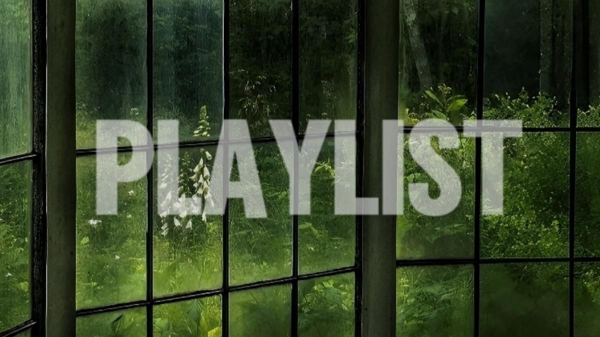 𝗣𝗹𝗮𝘆𝗹𝗶𝘀𝘁🌧 | "你和我灵魂契合"🍃| 英文氛围混响 | 耳机享用 舒适歌单 放松 学习 散步 睡眠 上下班