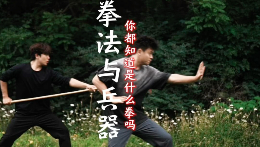 拳法与兵器