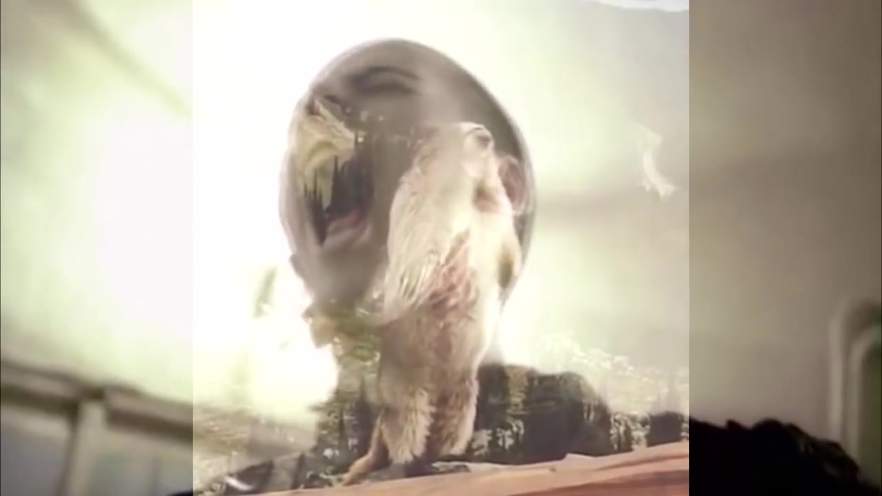 村长解说不要笑挑战