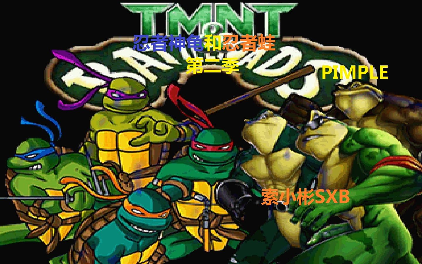 索小彬sxbbor忍者神龟和忍者蛙2018之pimplebattletoadsturtlesninjas