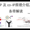 实验解读 | CO-IP实验原理及WB条带分析解读