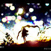 【雛糖Hinata】メリーメリー