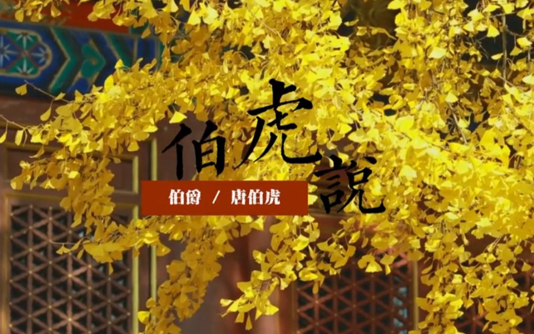 【原创翻唱】《伯虎说》哔哩哔哩bilibili 4336