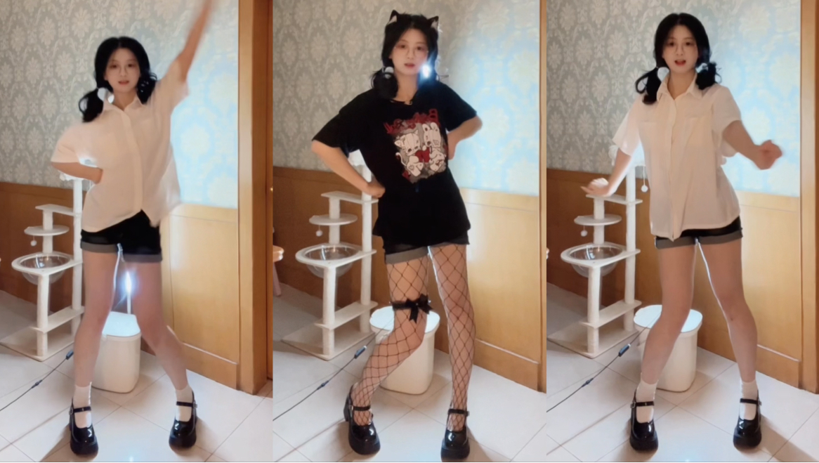 Look at me, kitty! ₌᳐ ᗜ - ᗜ ₌᳐