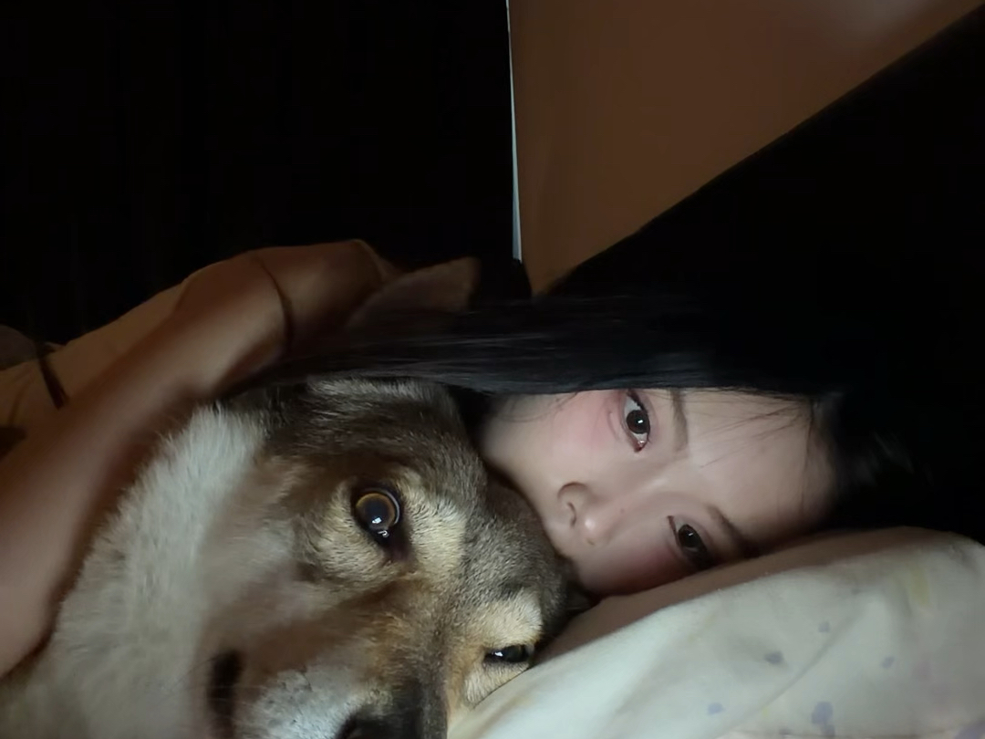 今晚不熬了，一定要早点睡觉！