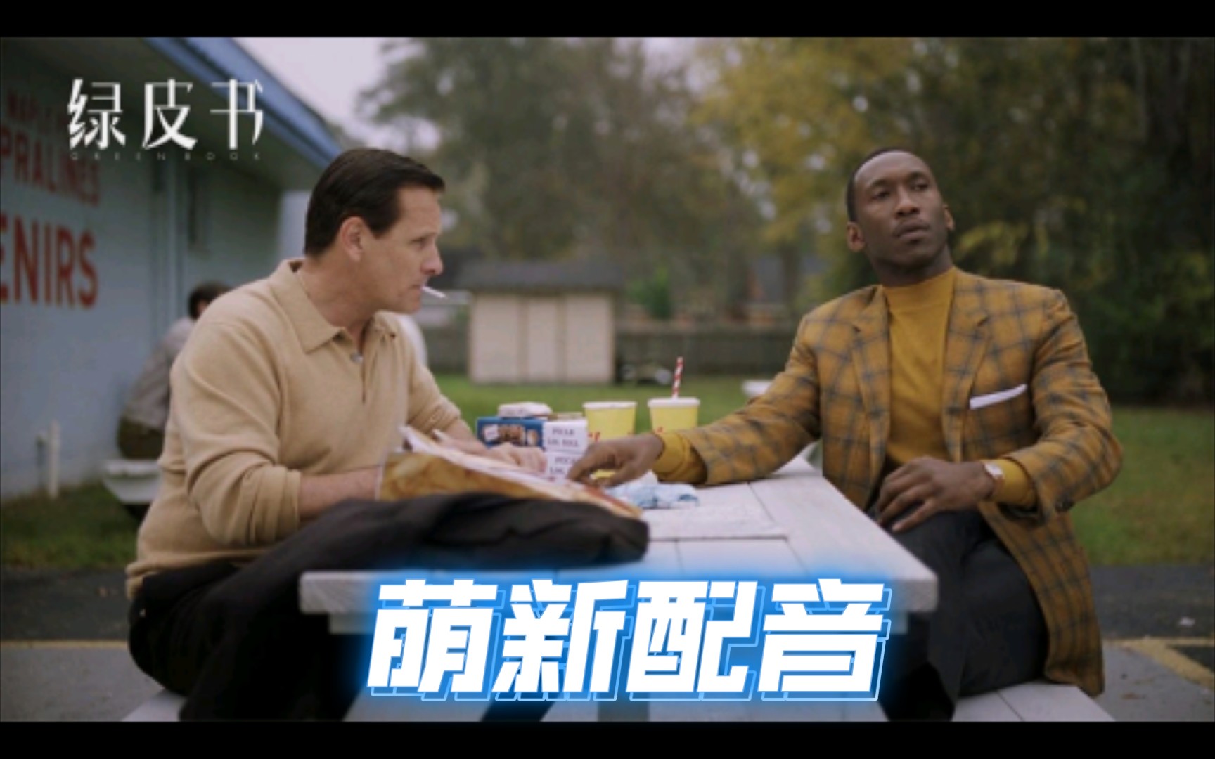 萌新第一次配音《绿皮书》将就着看吧_哔哩哔哩_bilibili