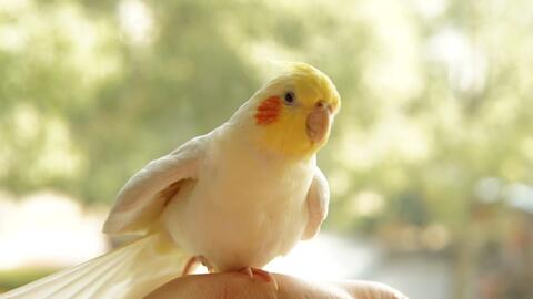 77e3adf50bd036b9164a210beaf7136880b985b6.jpg@480w_270h_1c