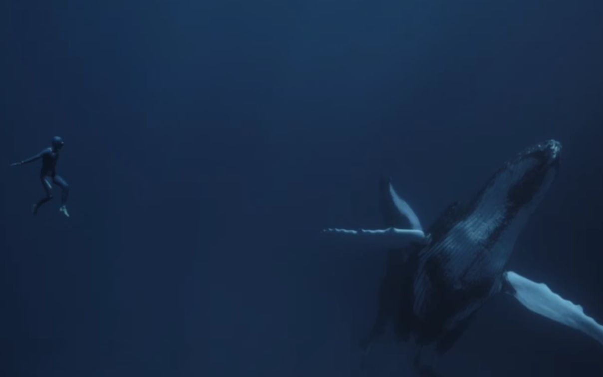 忘记呼吸！！！深潜大神纪尧姆内里最新短片：与海王同游