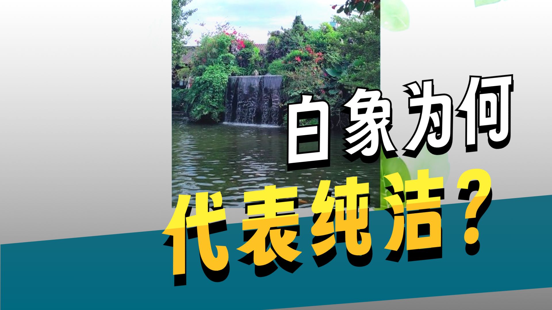 体佛法师开示：六牙白象