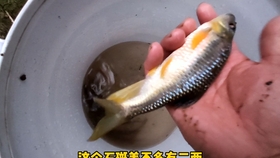 7818c4df3fdc57a98f6ba2e3dccb60ffd42bdc6d.jpg@280w_158h_1c_100q.jpg