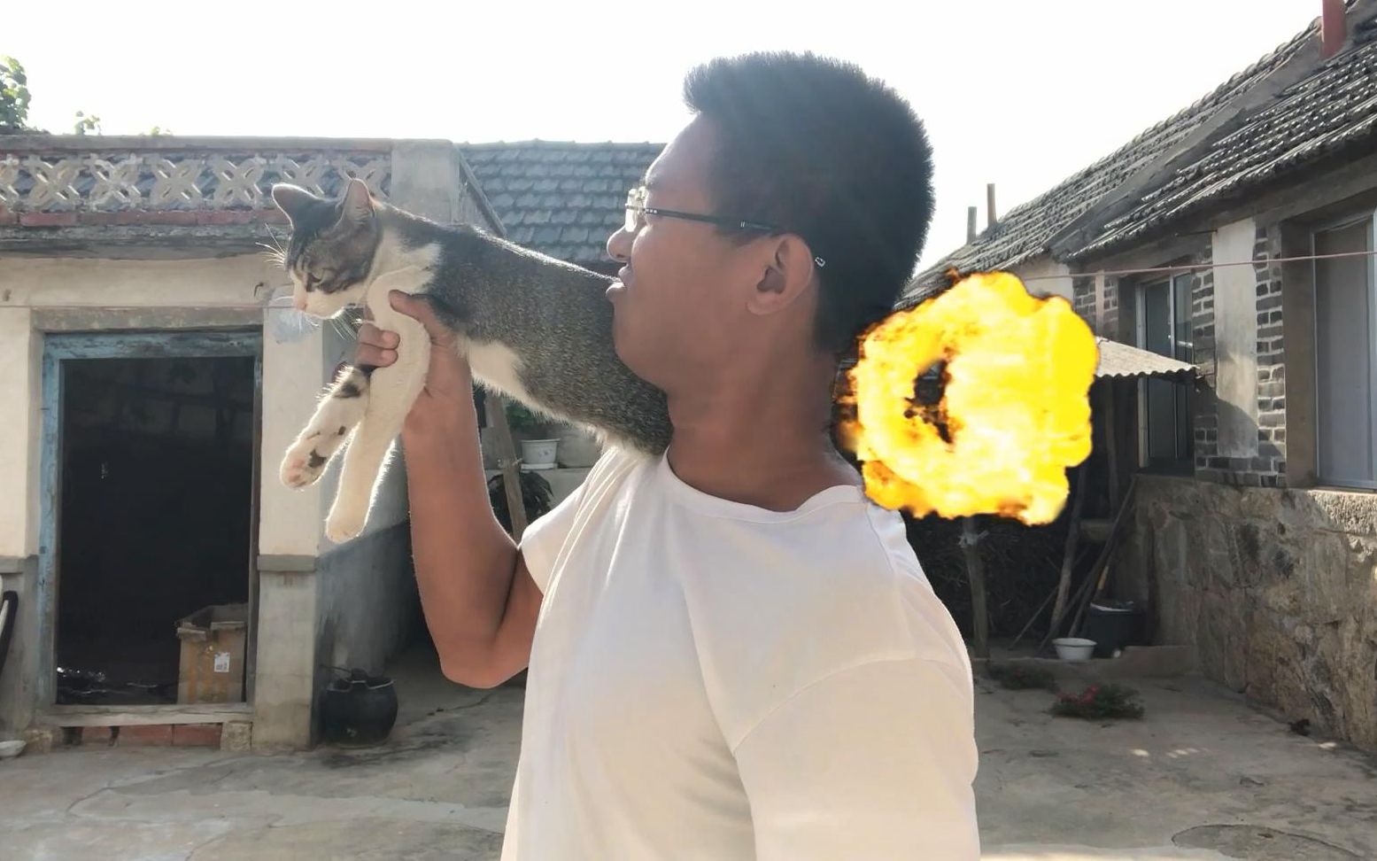 见过加了特效的猫咪版加特林rpg手榴弹吗超震撼