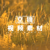 【空镜素材】高清实拍视频素材合集，温馨自然场景空镜