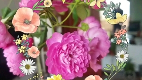 78312e78c3899cc9cd5bdcc71fc6548869fe5727.jpg@280w_158h_1c_100q.jpg