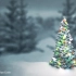 【必应首页视频】2018圣诞节_灯光圣诞树_Nimia作品_Xmas_Tree_Lights_NimiaRF_4K