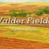 好温柔的歌曲，我已经听了八年了,曲风清新，节奏欢快《Valder Fields》