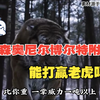泰森奥尼尔博尔特附体，能打赢老虎吗