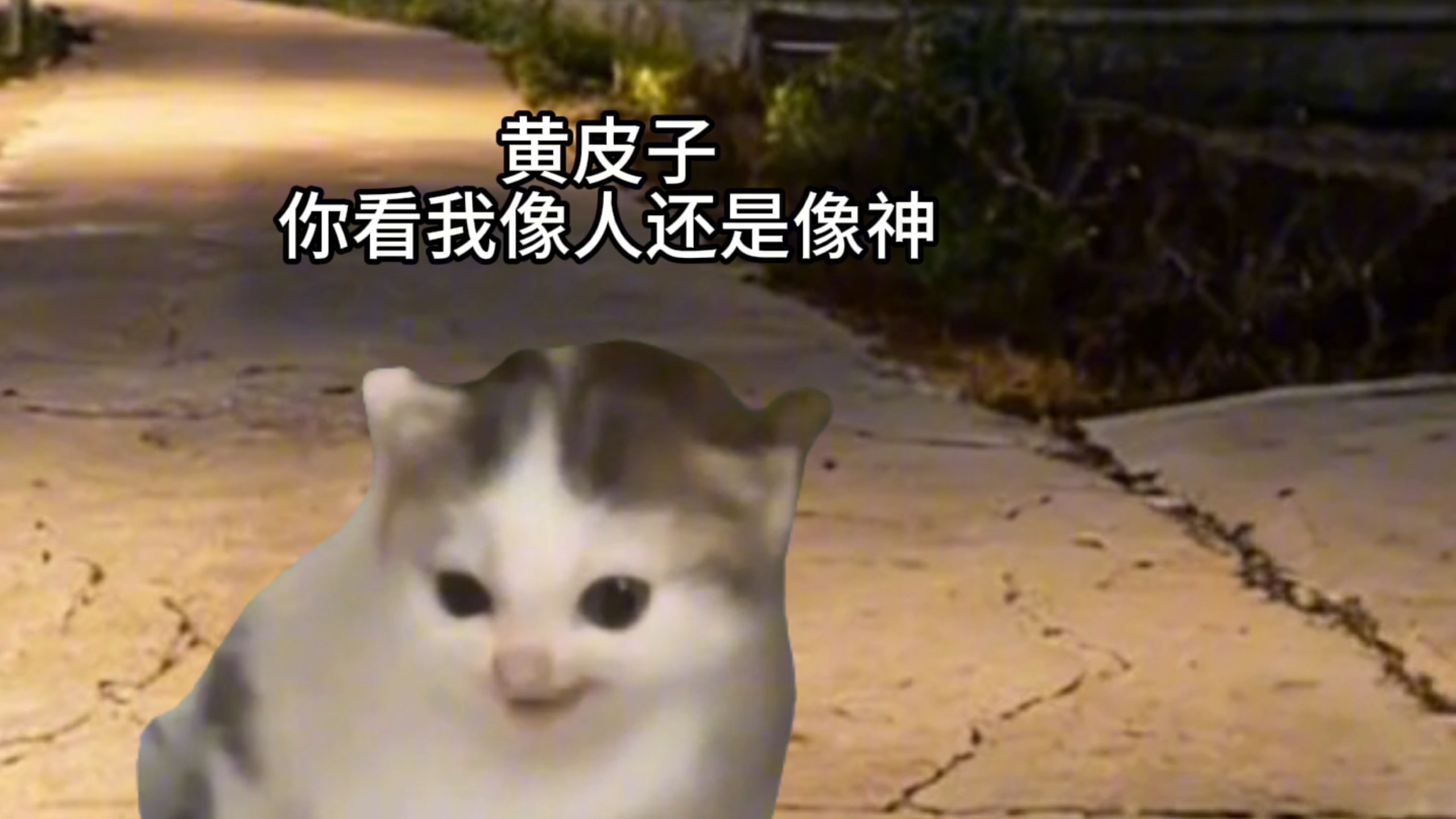 《非凡机缘》1-5 合集 ，我：黄皮子你看我像人还是像神！