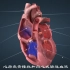 一颗普通人的心脏平均一分钟收缩72次， 这意味 着在人类的平均寿命期间， 它会收缩约25亿次。