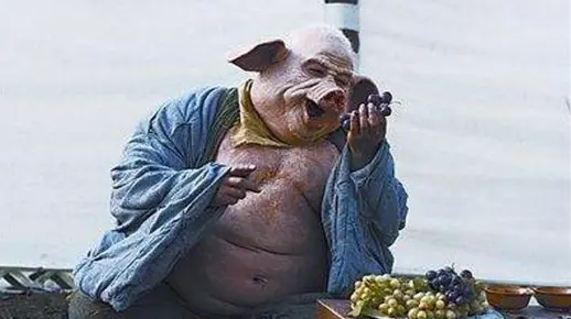 《西游谜中谜》105话：取经前猪八戒为何吃人度日？