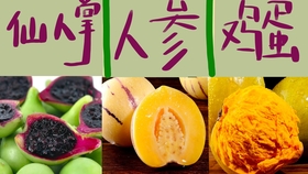 如何做水果冰粉全过程 78ae7d9d0c5d67aeafb244133f5d087487204fb4.jpg@280w_158h_1c_100q.jpg