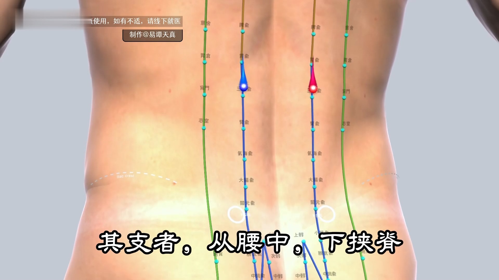第七集：足太阳膀胱经