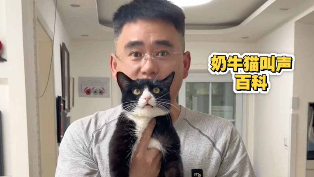 关于我老公演示不同地区奶牛猫叫法 莫名其妙的一天
