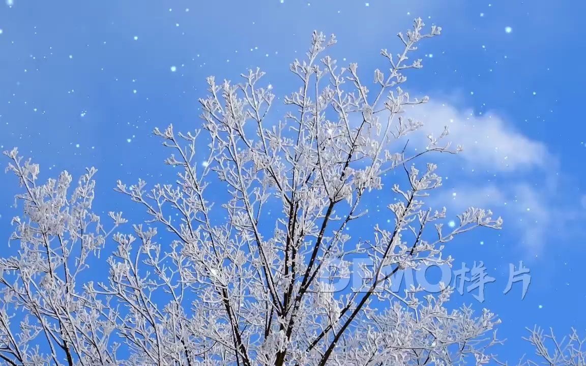 y387 半生雪 歌曲配乐成品 唯美宁静大树野外大自然白雪皑皑雪花飘落下雪雪景冬天冬季雪山雪松幼儿园元旦晚会节目大屏幕LED舞台背景视频素材