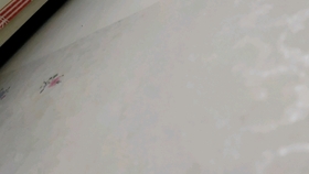 79216c6ce94a0bf5201e9a84c90a33312026fdef.jpg@280w_158h_1c_100q.jpg