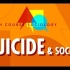【10分钟速成课：社会学】第5集 - 自杀与社会